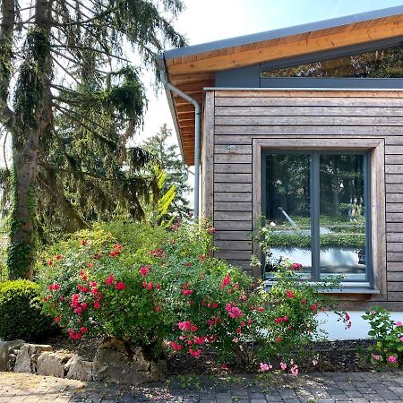 Balthasar Ress Guesthouse Am Rebhang Im Rheingau Oestrich-Winkel Exterior photo